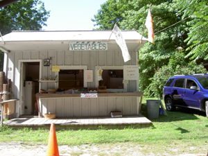 centerport farm stand